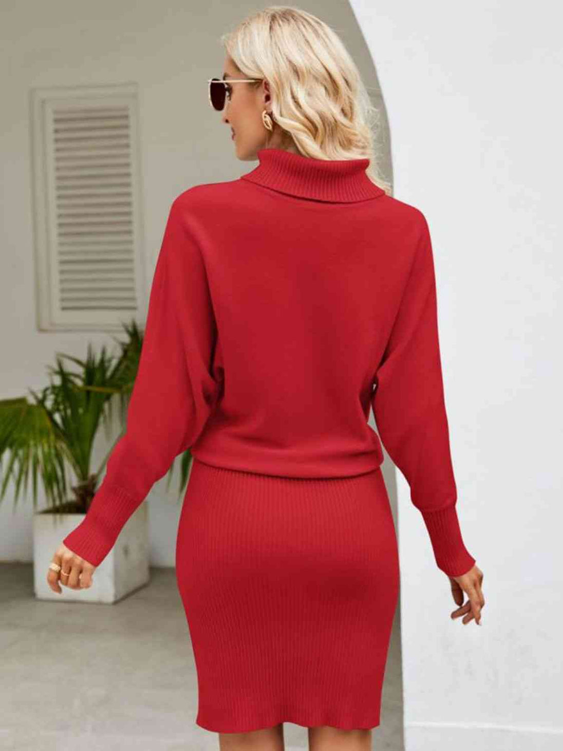 Turtle Neck Long Sleeve Ribbed Sweater Dress Bazaarbey