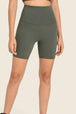 Seamless High-Rise Wide Waistband Biker Shorts Trendsi