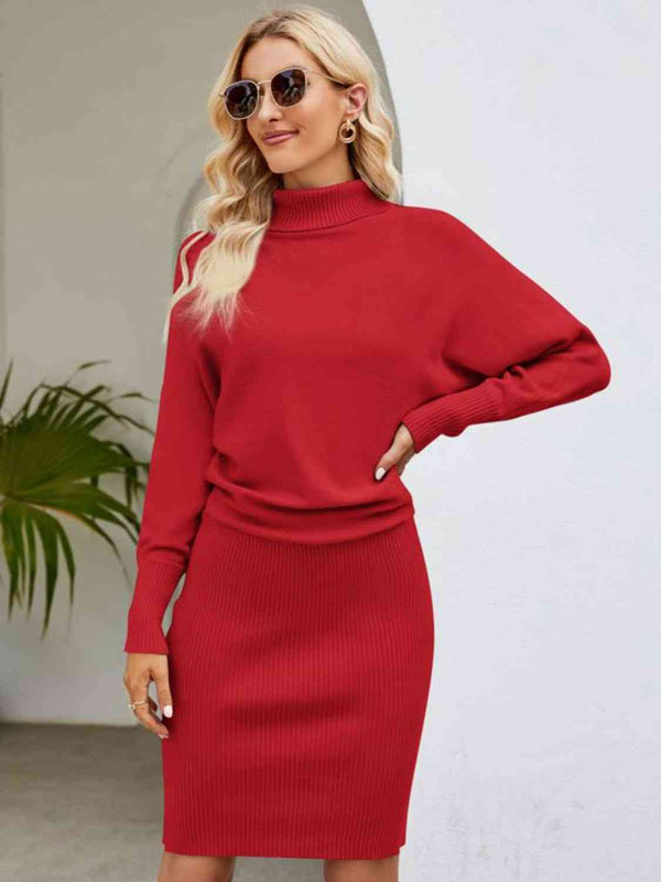 Turtle Neck Long Sleeve Ribbed Sweater Dress Bazaarbey